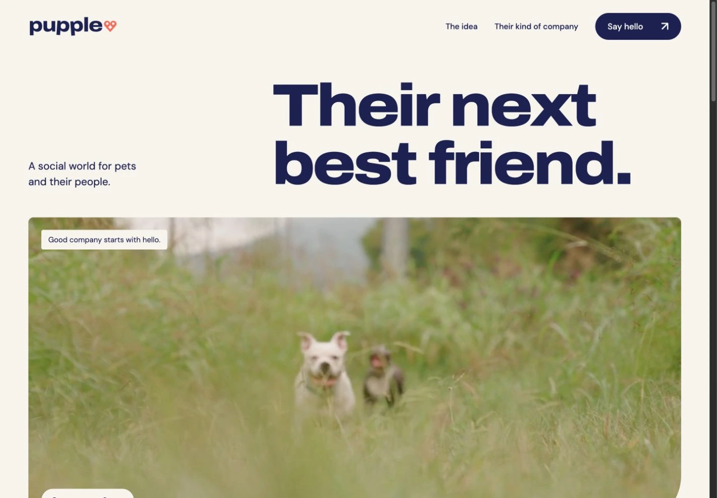 Pupple desktop website